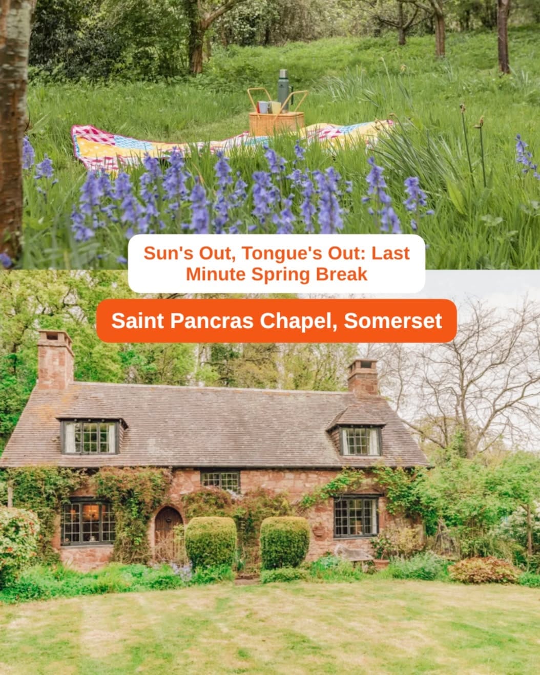 Post 2 by Dog Friendly Retreats on Instagram (image)