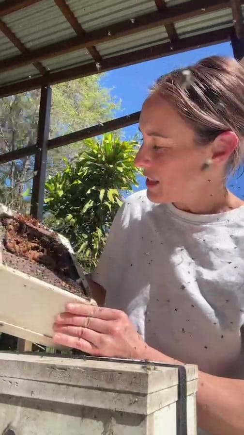 Post 5 by Sarah Hamilton on Instagram (video)