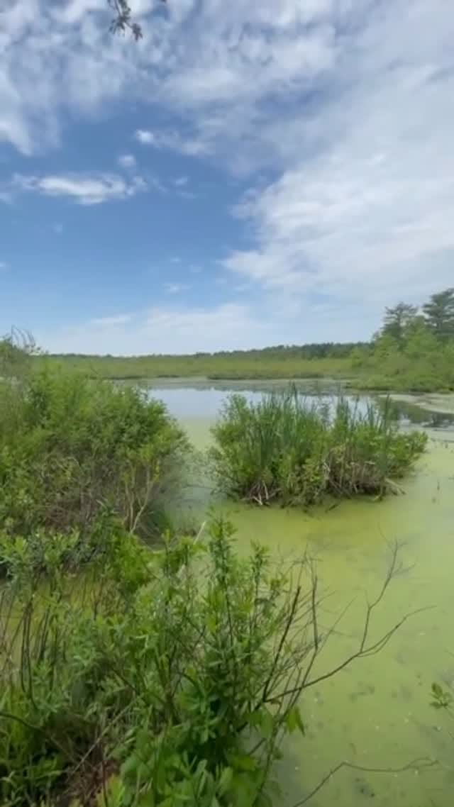 Post 1 by Bigfoot Mountain on Instagram (video)