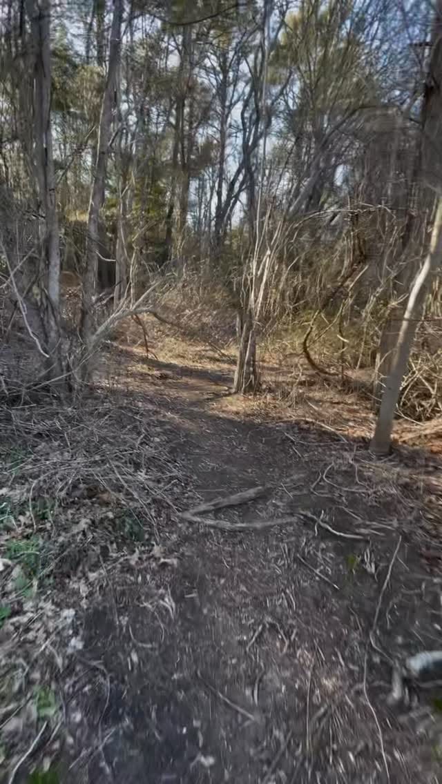 Post 3 by Bigfoot Mountain on Instagram (video)