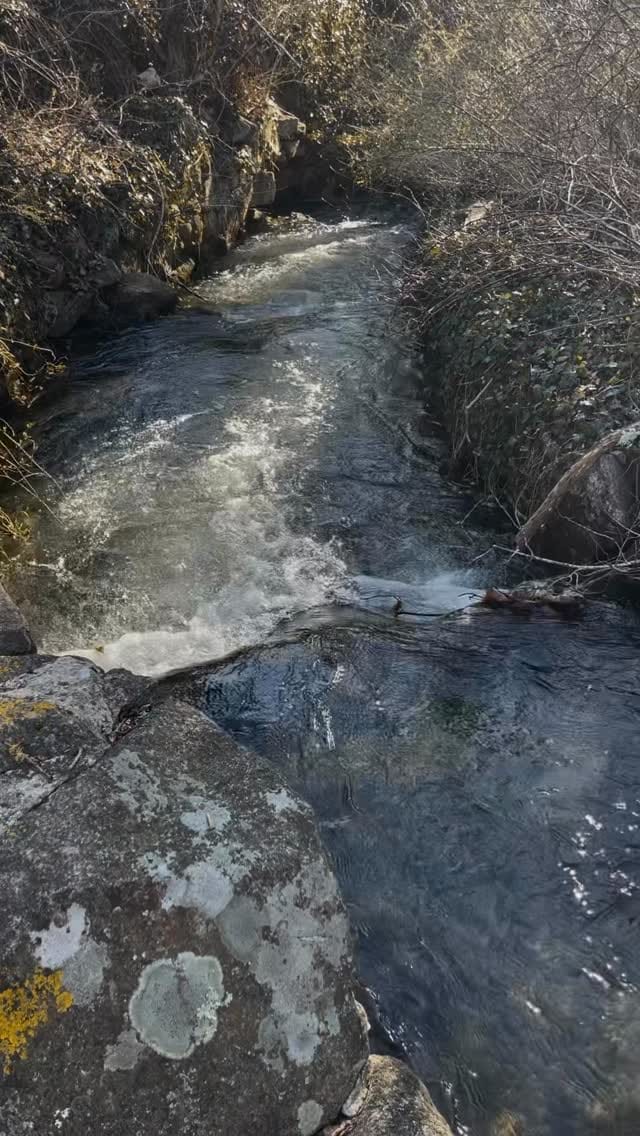 Post 4 by Bigfoot Mountain on Instagram (video)