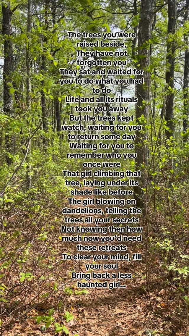 Post 2 by Bigfoot Mountain on Instagram (video)
