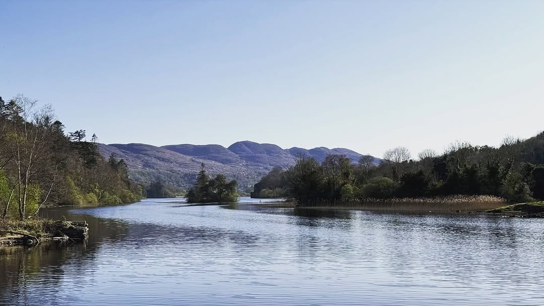 Post 7 by Paddy Cunningham on Instagram (image)
