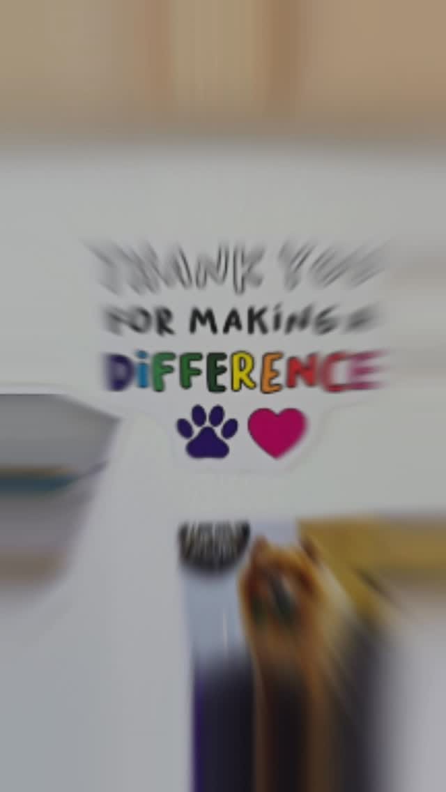 Post 4 by Dogs Aid Animal Sanctuary on Instagram (video)