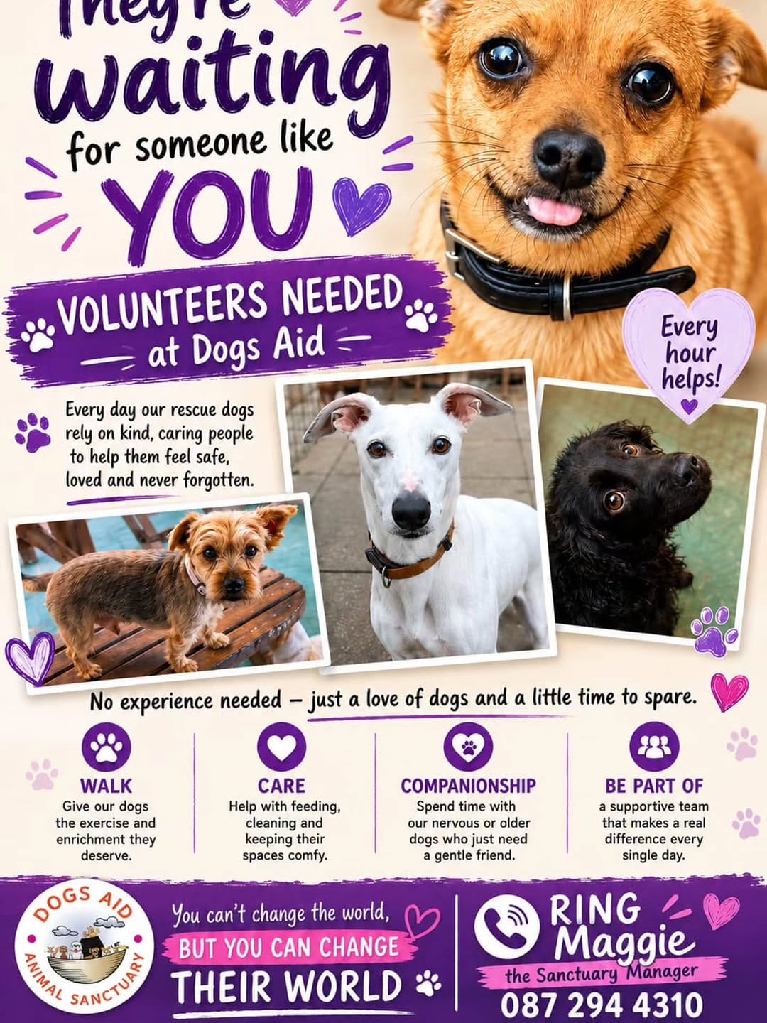 Post 5 by Dogs Aid Animal Sanctuary on Instagram (image)