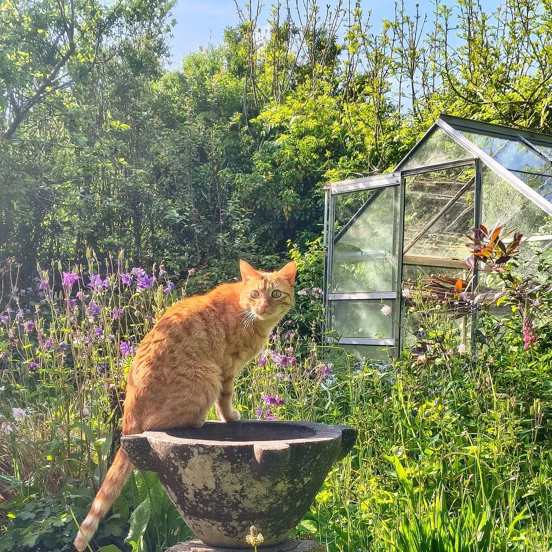 Post 2 by Gizmo on Instagram (image)