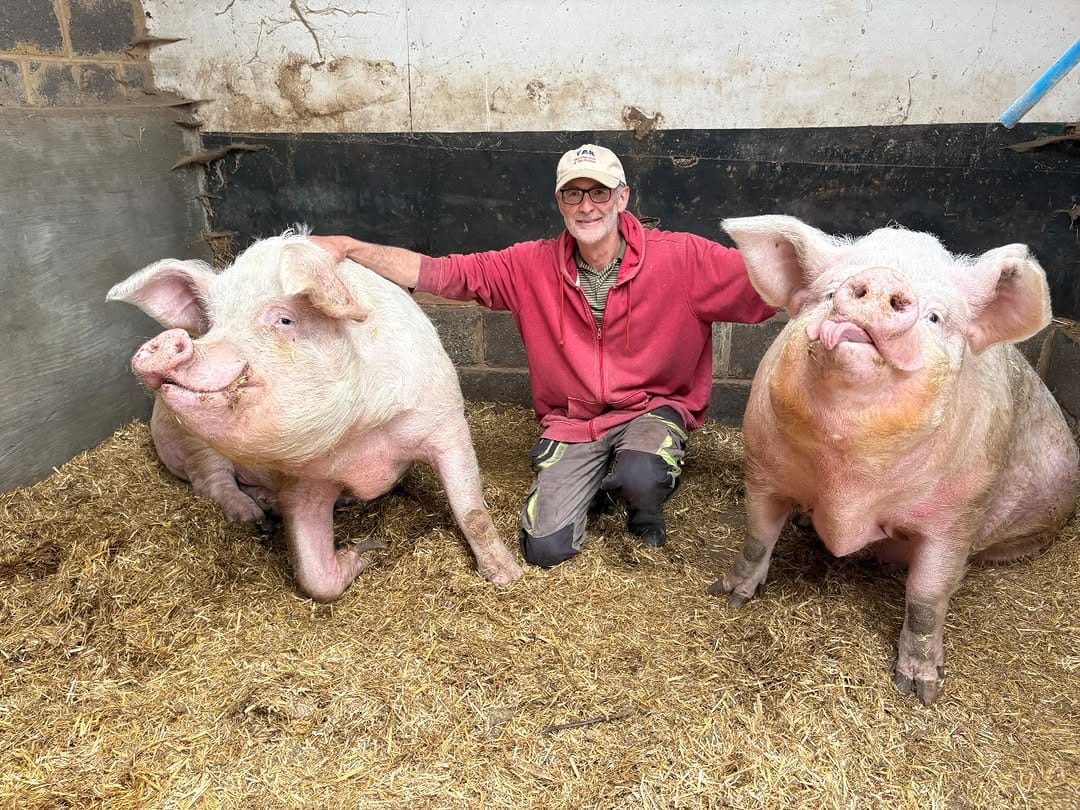 Post 4 by Tower Hill Stables Sanctuary on Instagram (image)