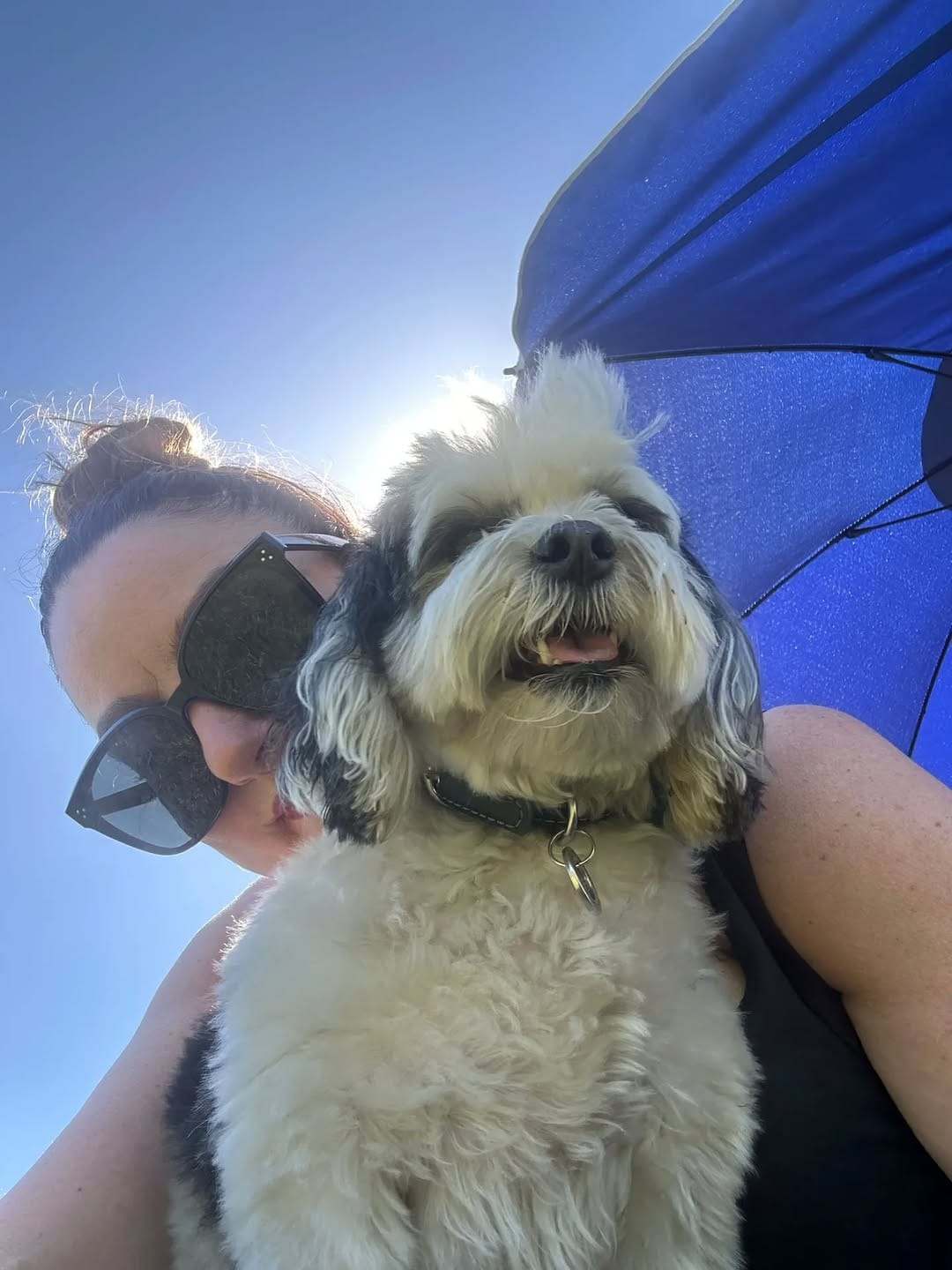 Post 2 by MBFKC DOG DAYCARE, WALKING & STORE on Instagram (carousel)