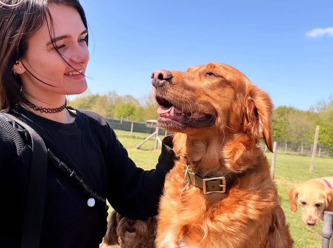 Post 7 by MBFKC DOG DAYCARE, WALKING & STORE on Instagram (image)