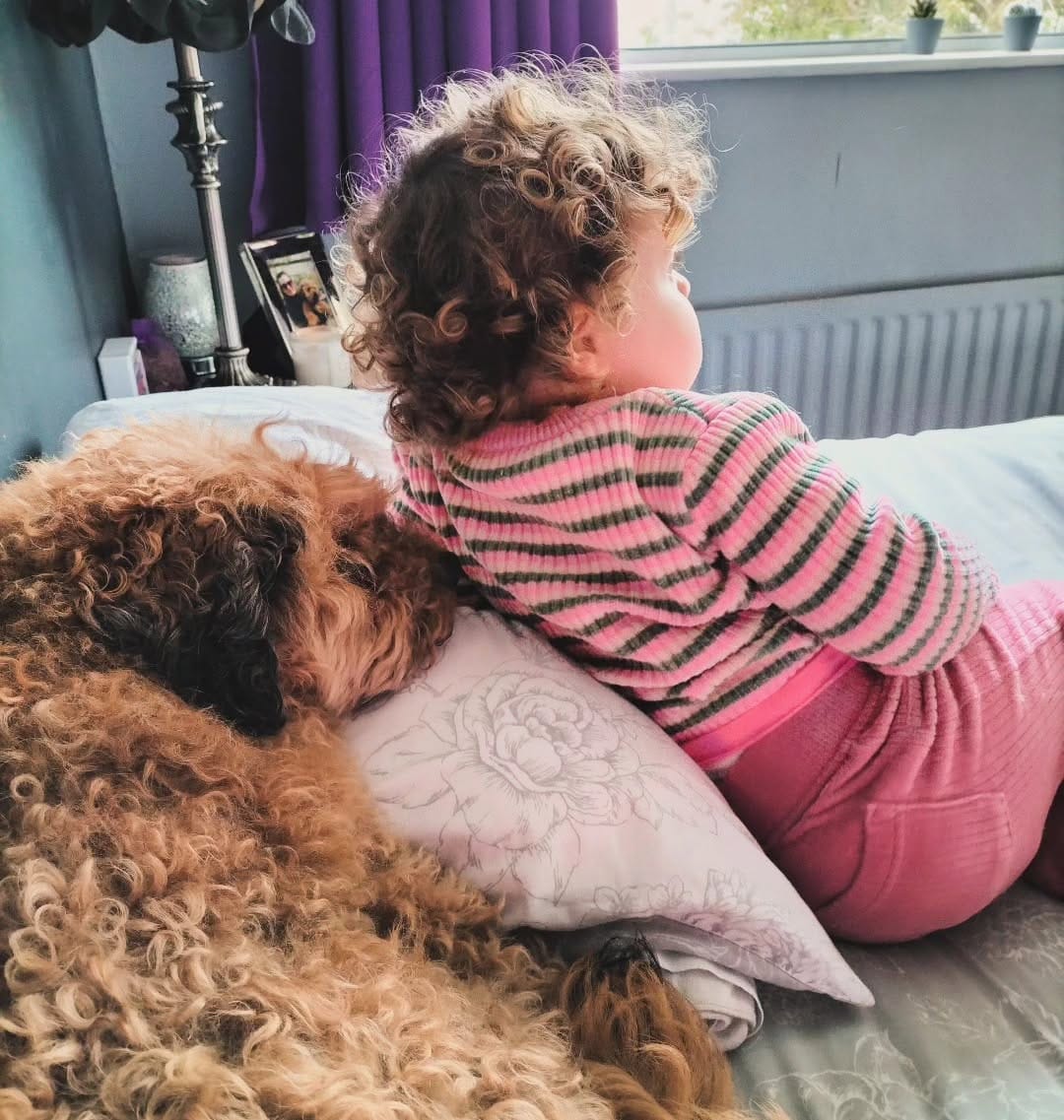 Post 3 by Alfie on Instagram (image)