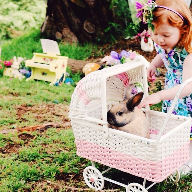 Post 4 by Miss Pigeon Productions on Instagram (image)