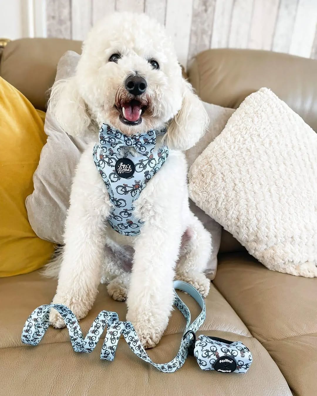Post 6 by Pup & Hound on Instagram (image)