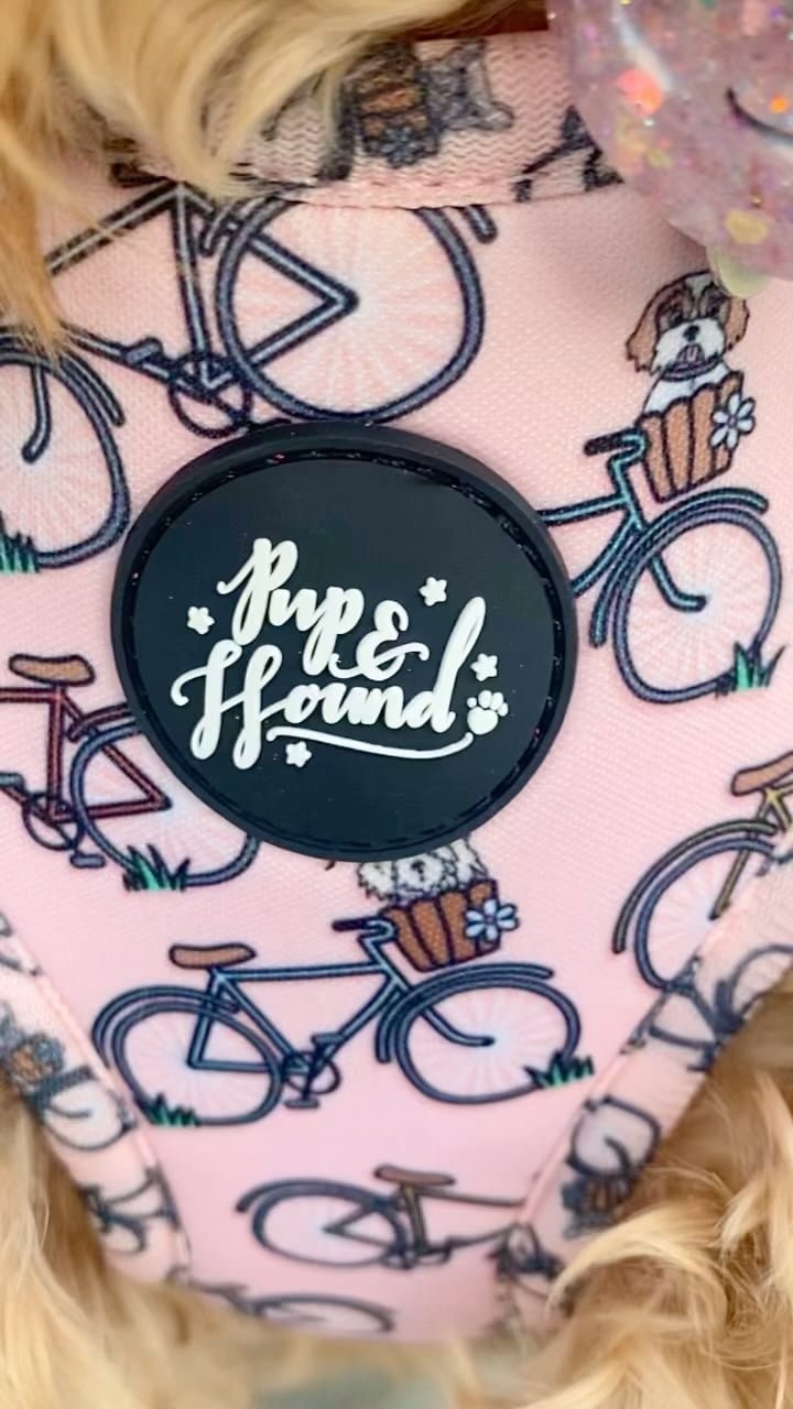 Post 5 by Pup & Hound on Instagram (video)