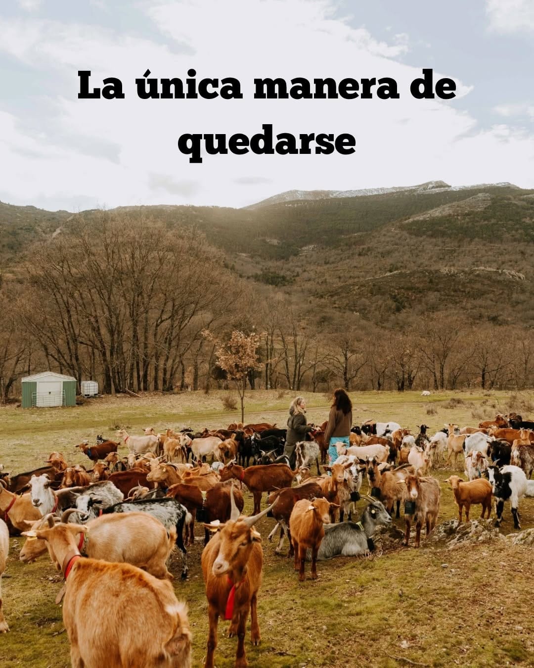 Post 7 by MaMagazine on Instagram (carousel)