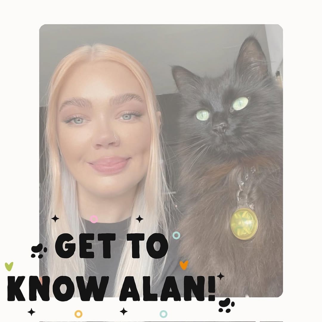 Post 10 by The Black Cat Collective on Instagram (carousel)