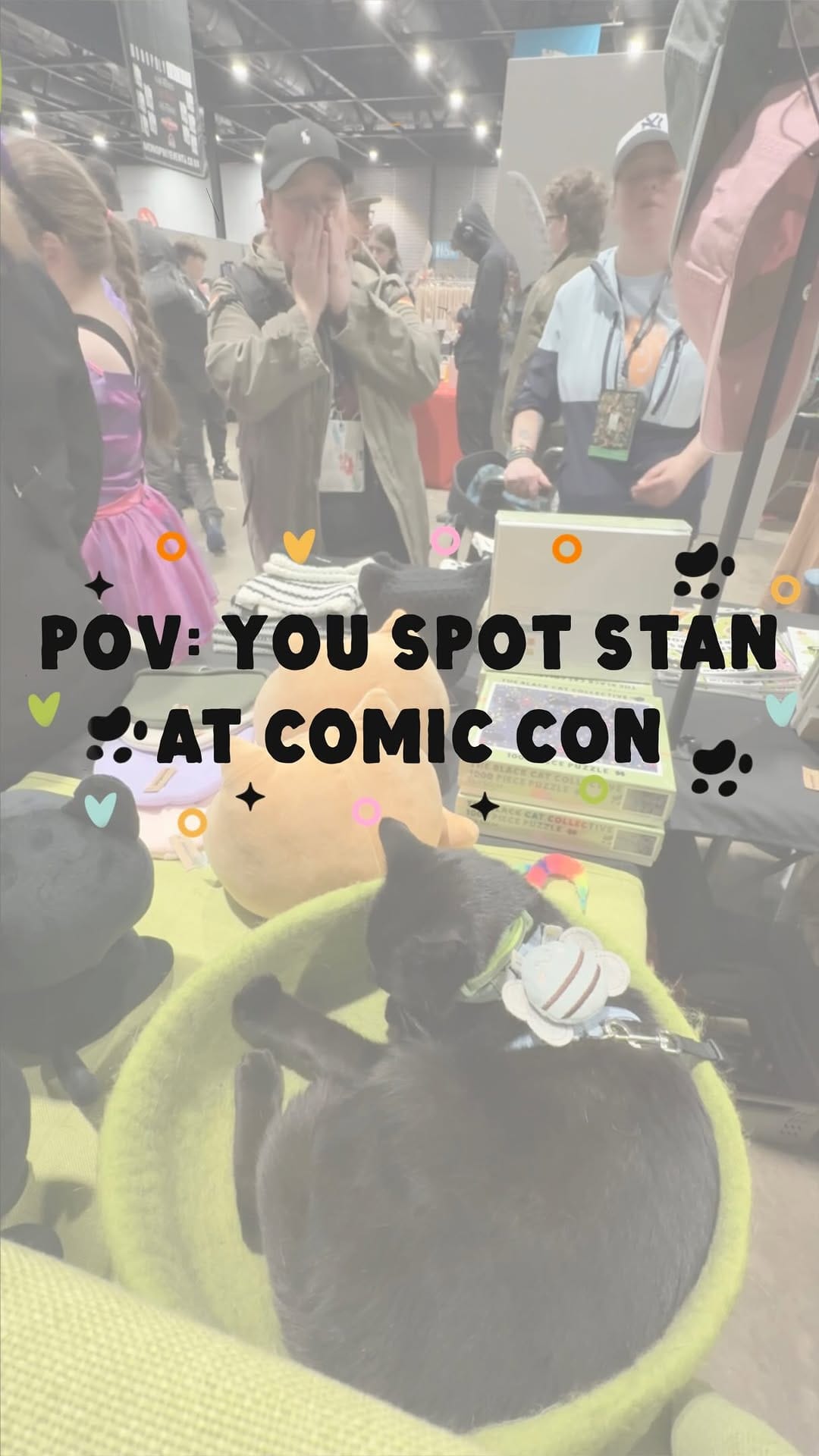 Post 3 by The Black Cat Collective on Instagram (video)