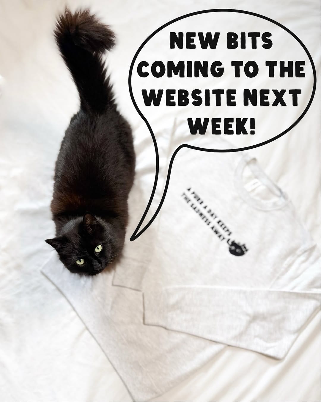 Post 1 by The Black Cat Collective on Instagram (carousel)