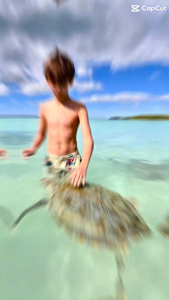 Post 2 by Rohan Ward on Instagram (video)
