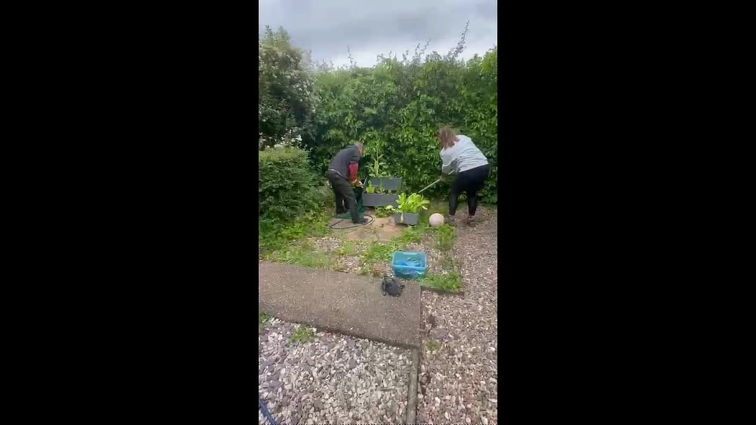 Post 5 by Brinsley Animal Rescue on Instagram (video)