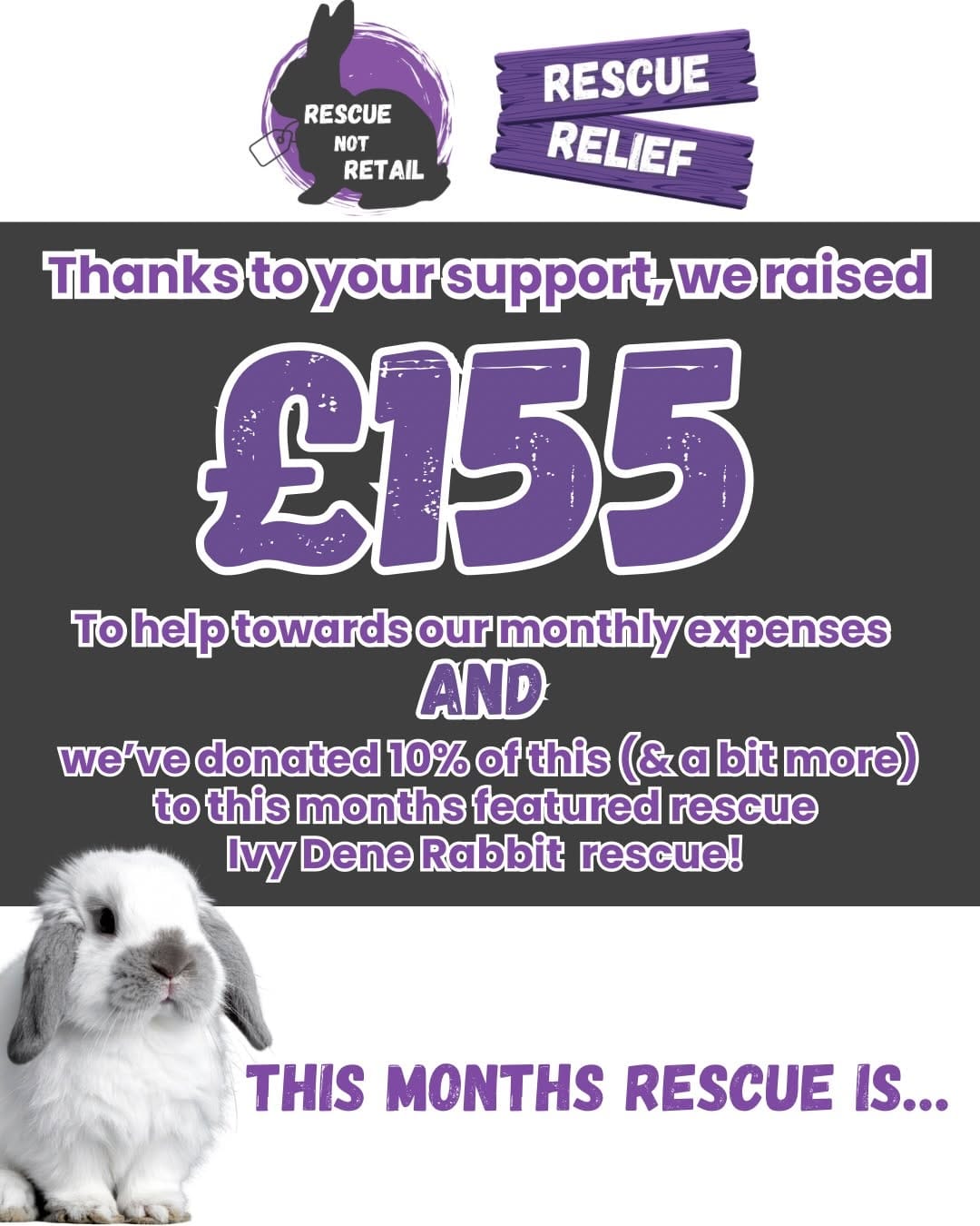 Post 10 by Brinsley Animal Rescue on Instagram (carousel)