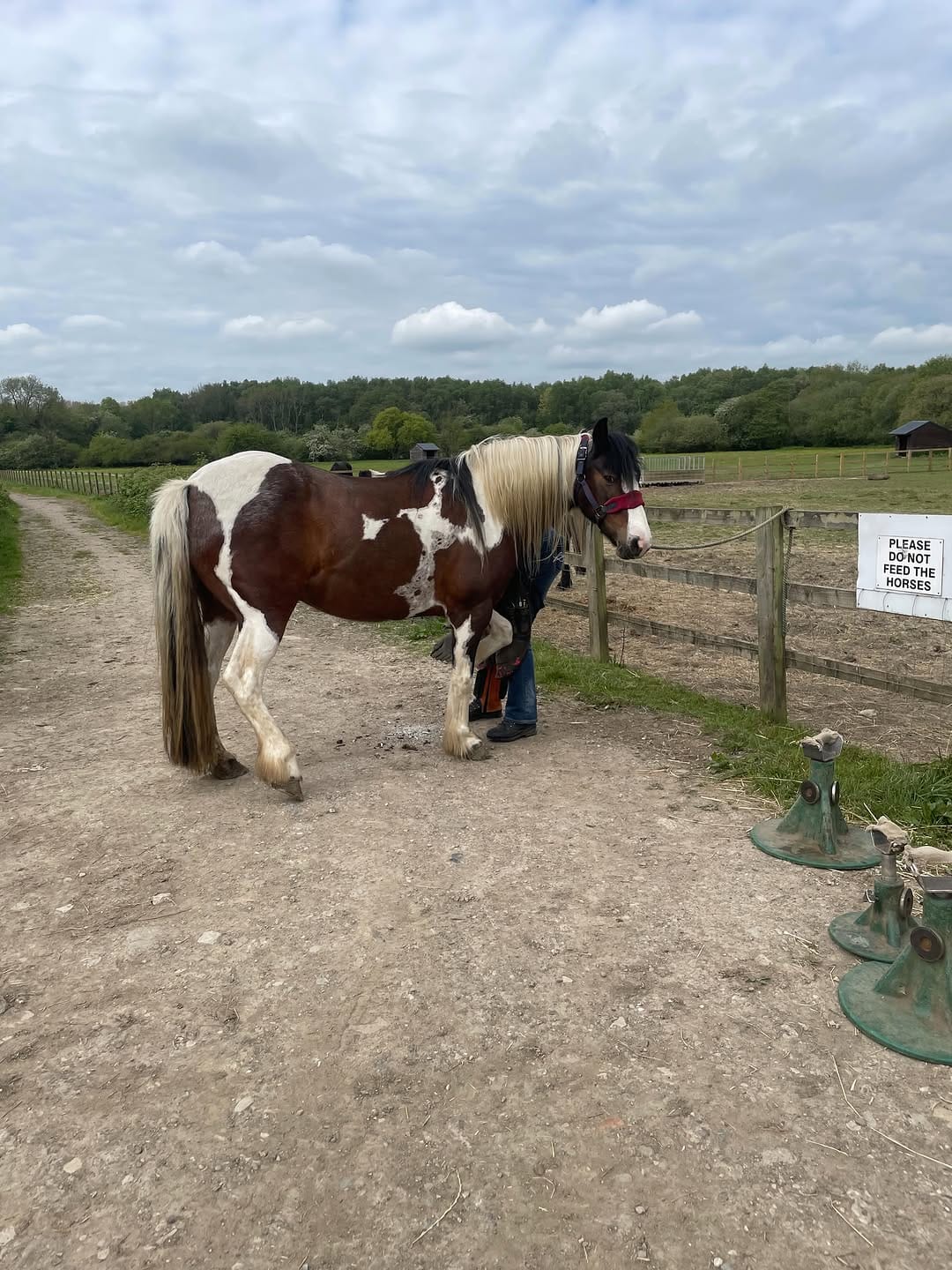 Post 8 by Brinsley Animal Rescue on Instagram (carousel)
