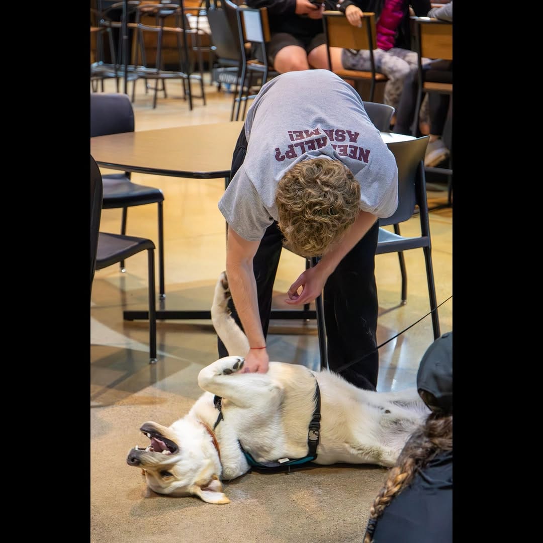 Post 3 by University of Northwestern Ohio on Instagram (carousel)