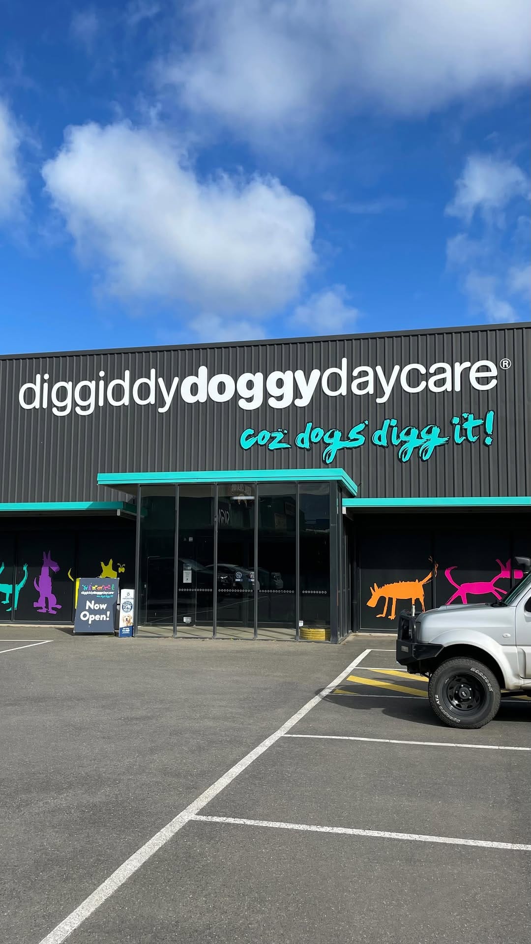 Post 10 by diggiddydoggydaycare on Instagram (video)