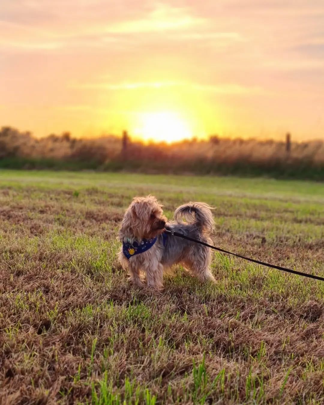 Post 10 by Bailey 💛 on Instagram (image)