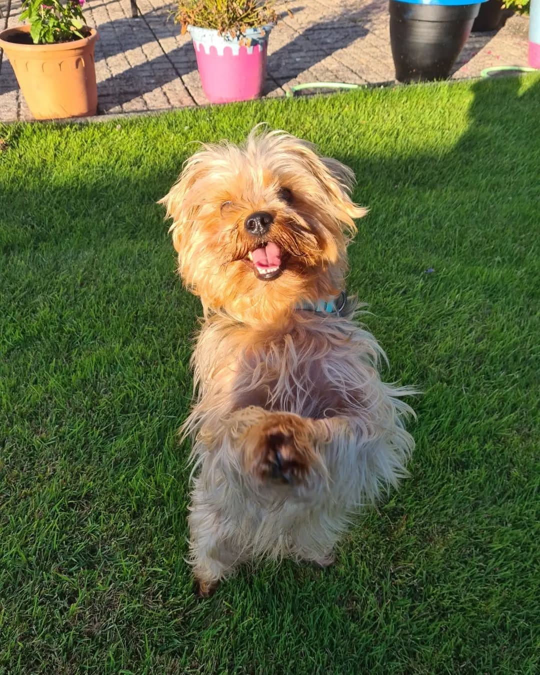 Post 9 by Bailey 💛 on Instagram (image)