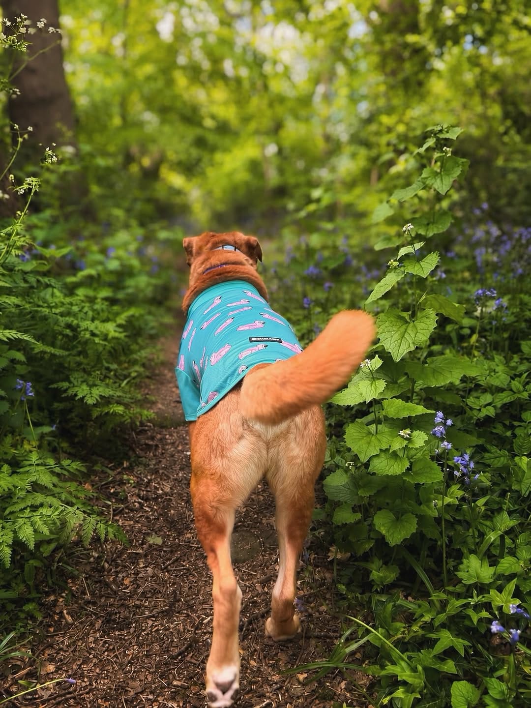 Post 4 by 𝕄𝕒𝕣𝕝𝕖𝕪 - Mutt on Instagram (image)