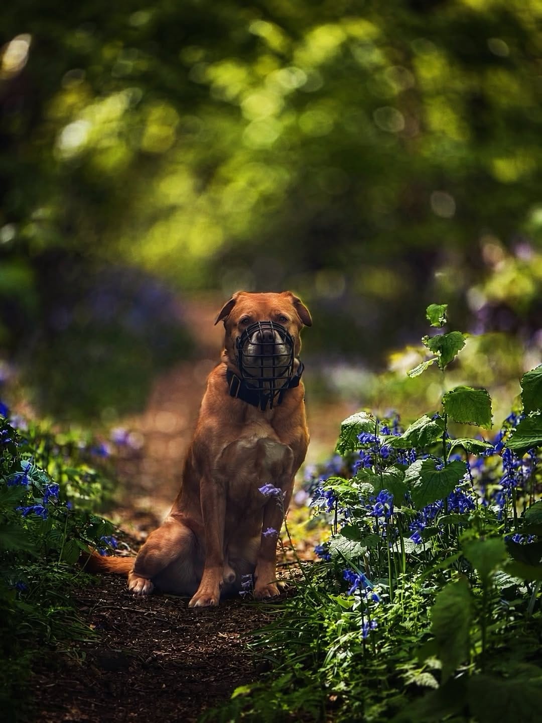 Post 6 by 𝕄𝕒𝕣𝕝𝕖𝕪 - Mutt on Instagram (image)