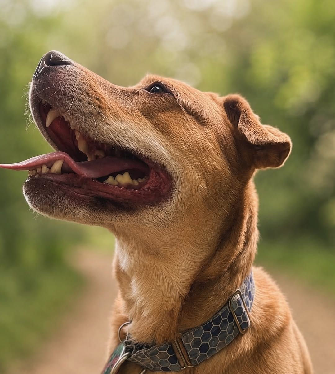 Post 5 by 𝕄𝕒𝕣𝕝𝕖𝕪 - Mutt on Instagram (image)