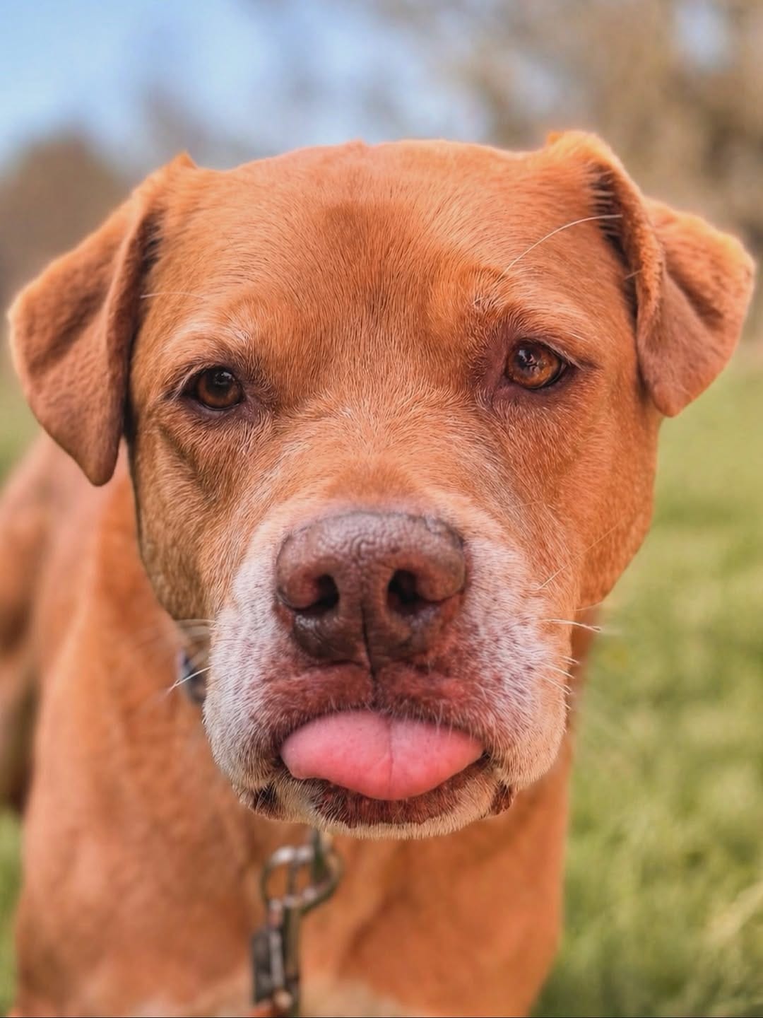 Post 7 by 𝕄𝕒𝕣𝕝𝕖𝕪 - Mutt on Instagram (image)