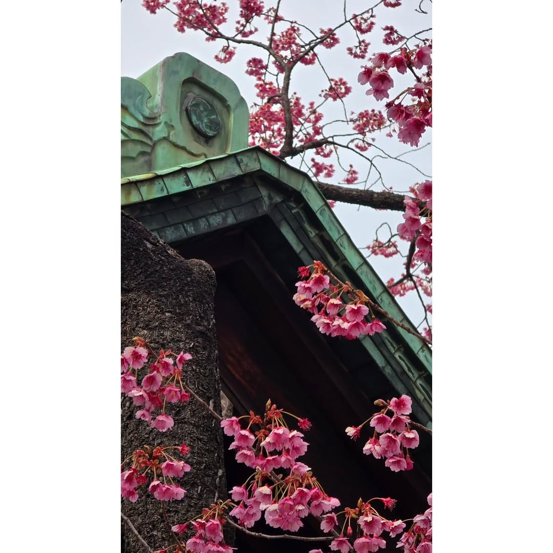 Post 9 by Douglas Wan on Instagram (carousel)