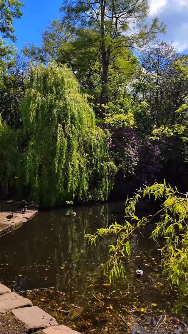 Post 9 by Roisin & Nina 🥾🐾 on Instagram (video)