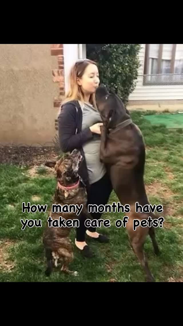 Post 9 by Christina Caruso on Instagram (video)