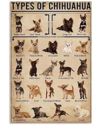 Post 10 by Top Dog Training School on Instagram (image)