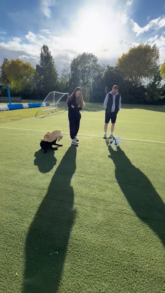 Post 4 by Top Dog Training School on Instagram (video)