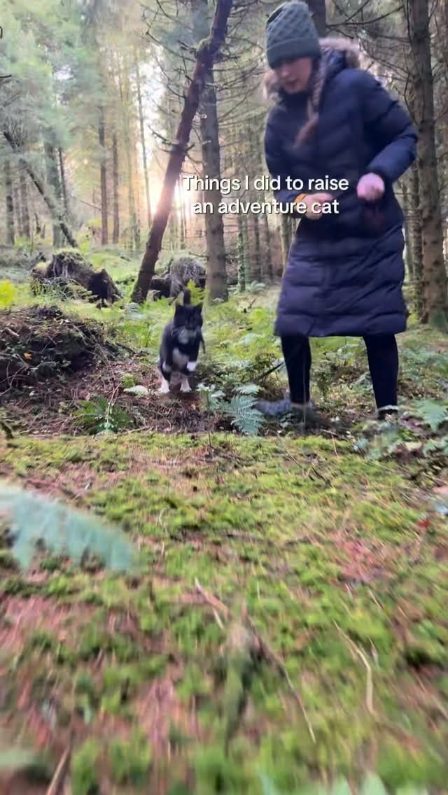 Post 10 by Kayleigh & Harvey on Instagram (video)