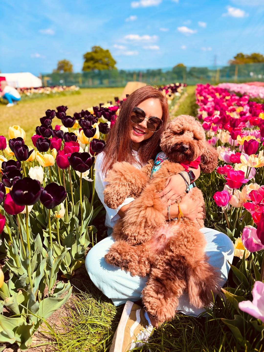Post 10 by Cookie & Chewkie® on Instagram (image)
