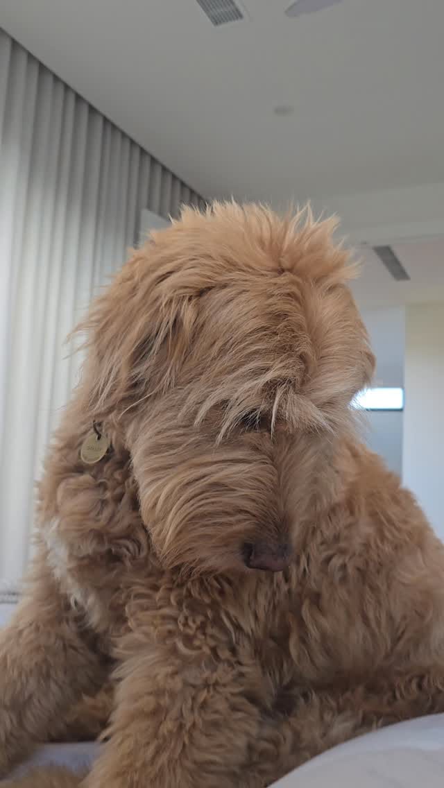Post 7 by Caroline Wall on Instagram (video)