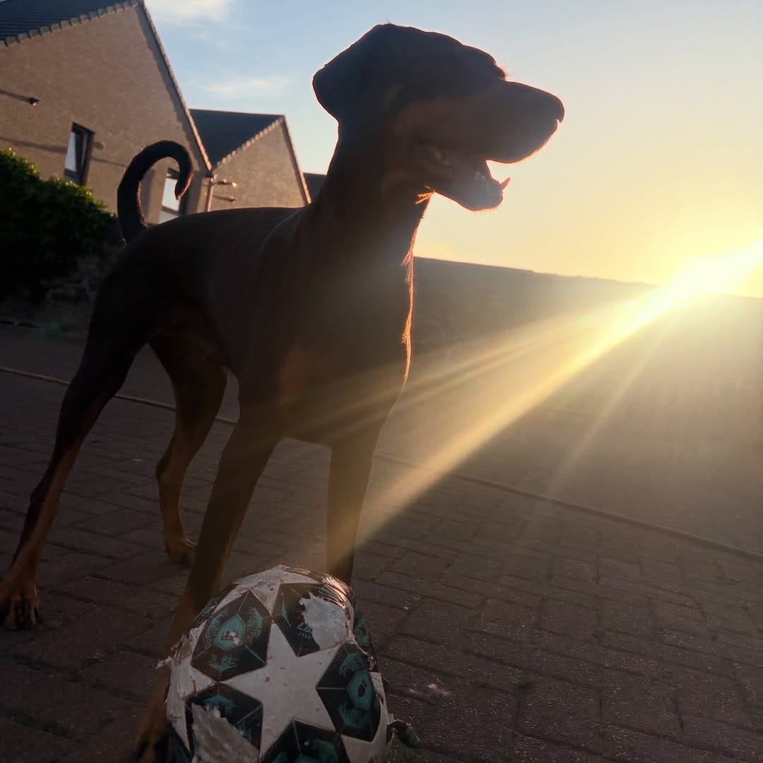 Post 1 by MADRA Training on Instagram (image)