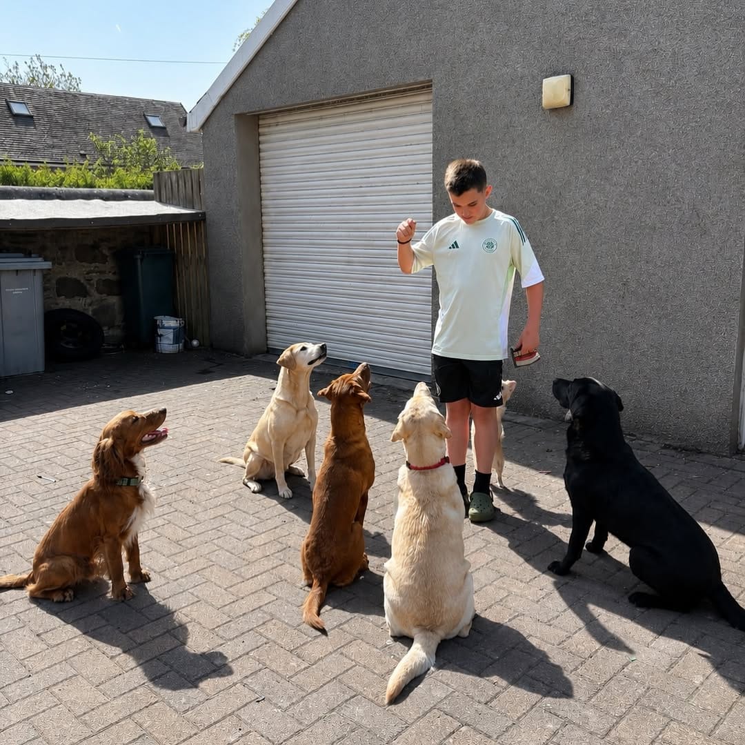 Post 3 by MADRA Training on Instagram (image)