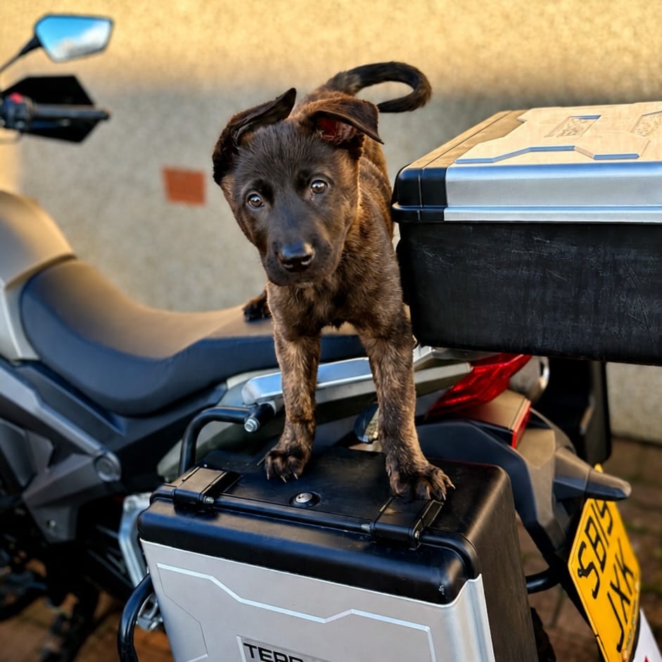 Post 6 by MADRA Training on Instagram (image)