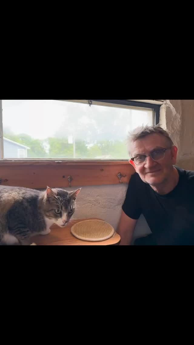Post 9 by Gatos And Beans on Instagram (video)