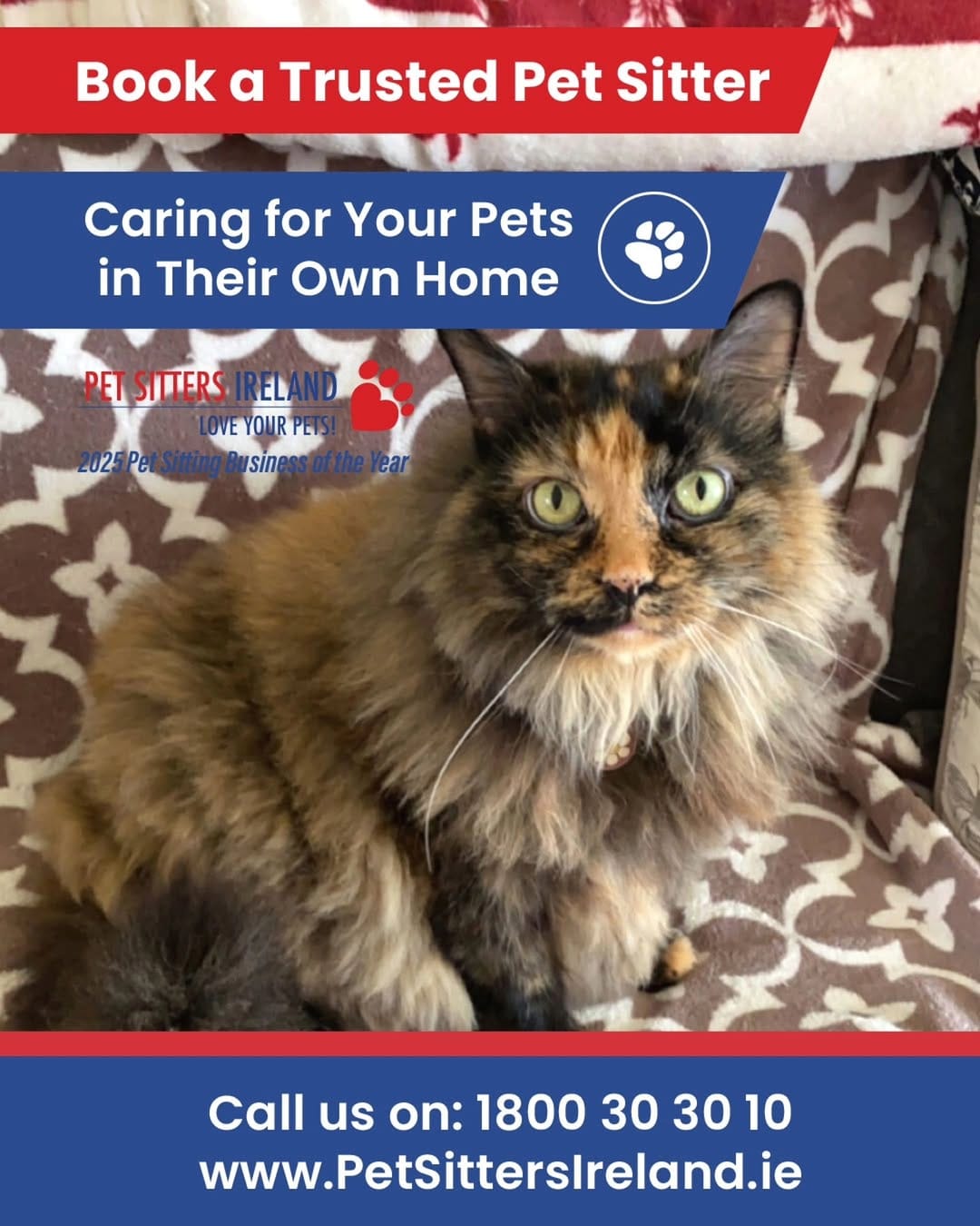 Post 9 by Pet Sitter | Dog Walker | Cat Sitter | Wedding Chaperone on Instagram (carousel)