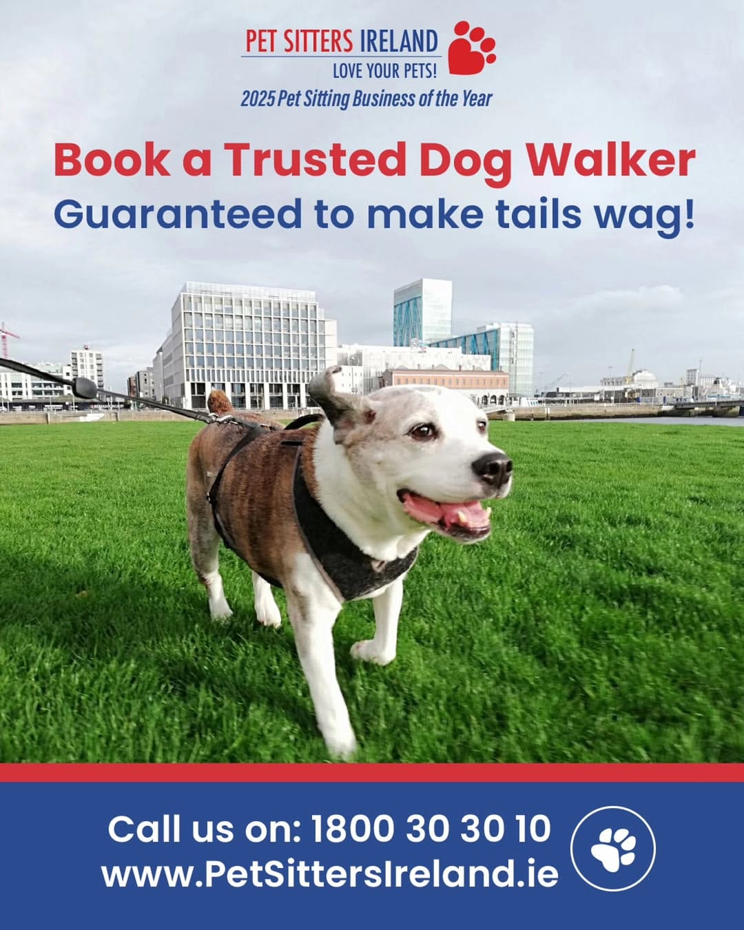Post 10 by Pet Sitter | Dog Walker | Cat Sitter | Wedding Chaperone on Instagram (image)