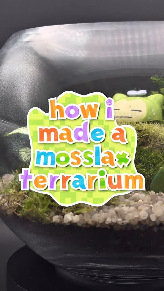Post 5 by Mufseen Miah on Instagram (video)