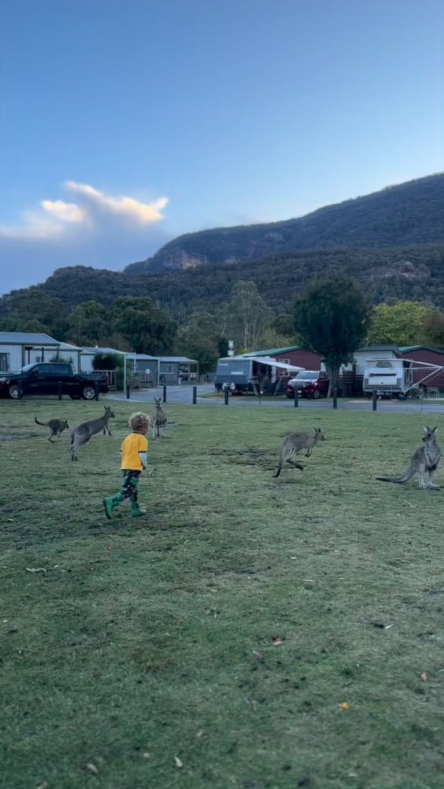 Post 10 by Homeschooling life with 3 boys 🧚🏼 on Instagram (video)