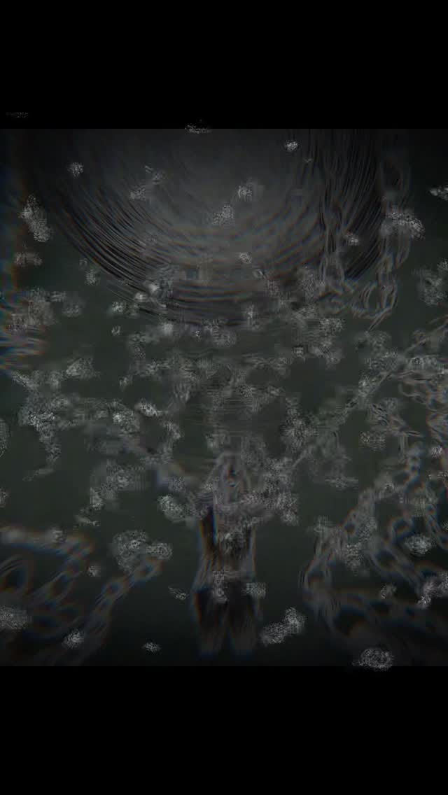 Post 6 by William Moore on Instagram (video)
